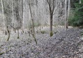 Strejcovský, Práškovský mlýn