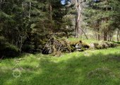 Folihamer; Pimeisl