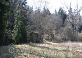 Doupovský, Dubský mlýn; Dubauer, Tuppa Mühle