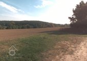 Leštinský, Veselého mlýn